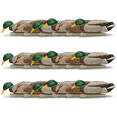 thumbnail image 1 of Avian X Topflight Backwater Mallards Decoys, Realistic Floating, 18 Pack, 1 of 12