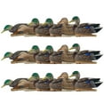 thumbnail image 1 of Avian X Topflight Early Season Mallard Duck Realistic Decoy, 18 Pack, 1 of 11