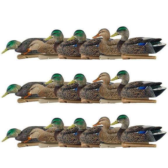 Avian X Topflight Early Season Mallard Duck Realistic Decoy, 18 Pack