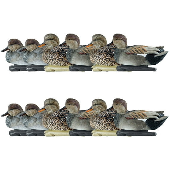Avian X Topflight Gadwall Decoys Realistic Gray Duck, Set of 12, Multicolor