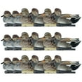 thumbnail image 1 of Avian X Topflight Gadwall Decoys Realistic Gray Duck, Set of 18, Multicolor, 1 of 6