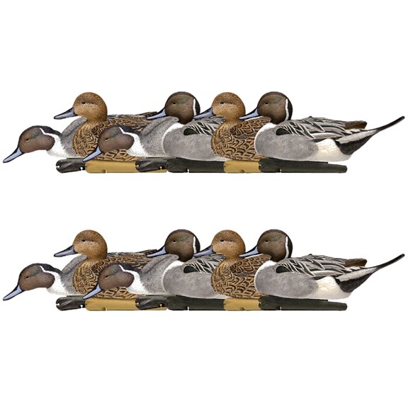 Avian X Topflight Pintails, Realistic Floating Decoys, Set of 12, Multicolor