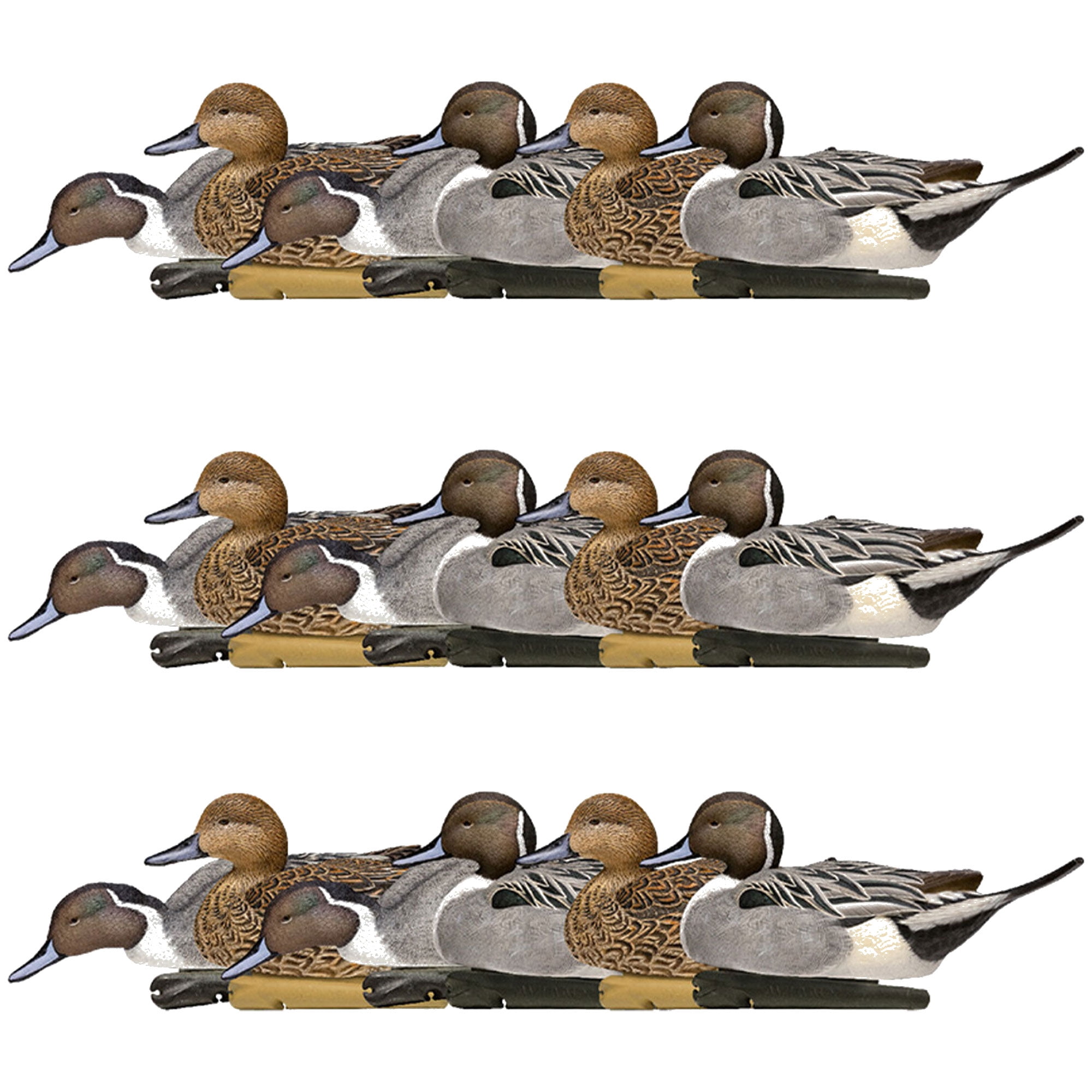 Avian X Topflight Pintails, Realistic Floating Decoys, Set of 18 ...
