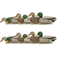 thumbnail image 1 of Avian X Topflight Realistic Floating Rugged Fusion Mallard Decoy, 12 Pack, 1 of 12