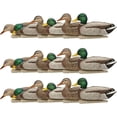 thumbnail image 1 of Avian X Topflight Realistic Floating Rugged Fusion Mallard Decoy, 18 Pack, 1 of 12