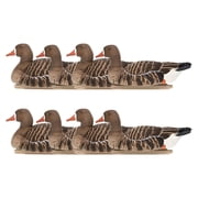 Avian X Topflight Specklebelly Goose Decoy w/ True to Life Postures, 8 Pack