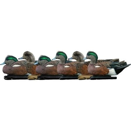Avian X Topflight Wigeon Decoys, Rugged Realistic Floating Duck Decoys for Hunting, Weight Forward Swim Keel