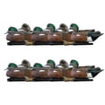 thumbnail image 1 of Avian X Topflight Wigeons, Rugged Realistic Floating Decoys, 12 Pack, Multicolor, 1 of 11