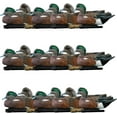 thumbnail image 1 of Avian X Topflight Wigeons, Rugged Realistic Floating Decoys, 18 Pack, Multicolor, 1 of 11