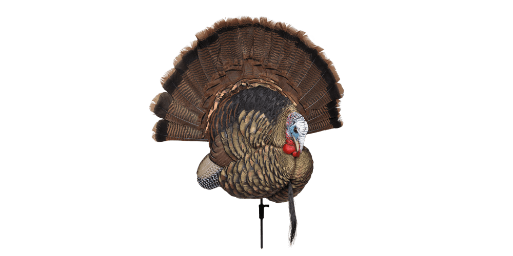 Avian-X Trophy Tom Turkey Decoy, AVX8021
