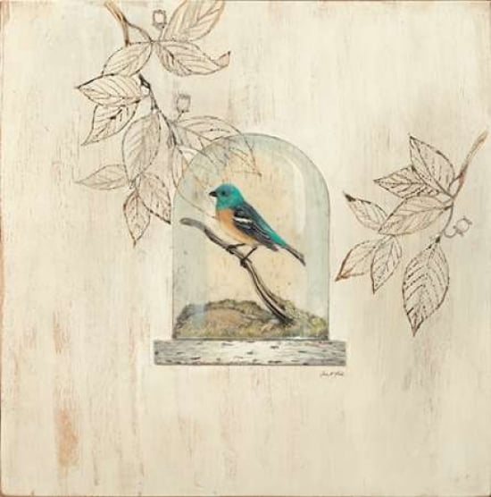 Aviary Display Canvas Art - Arnie Fisk (24 x 24)