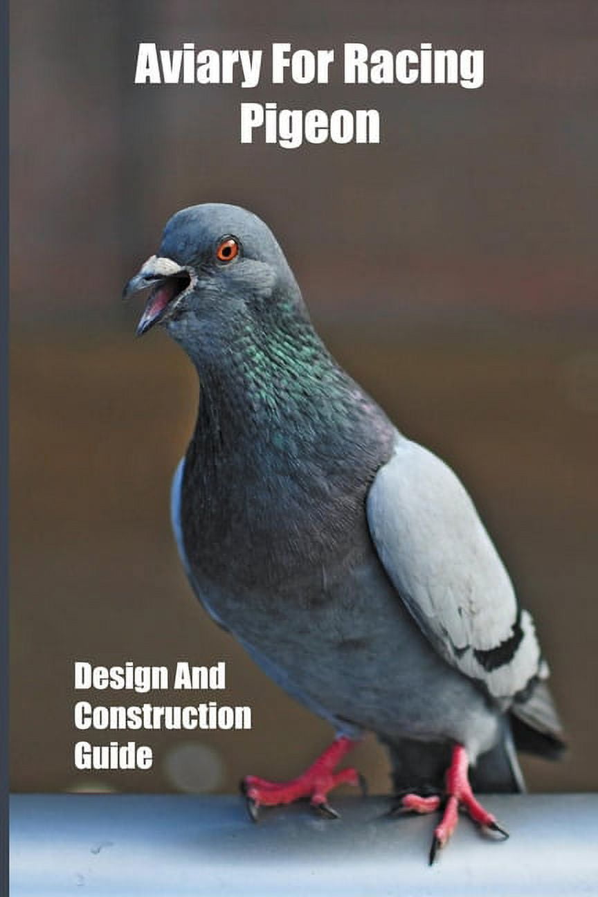 How To Make Your Own Is This A Pigeon? Meme, Because It Is So Easy