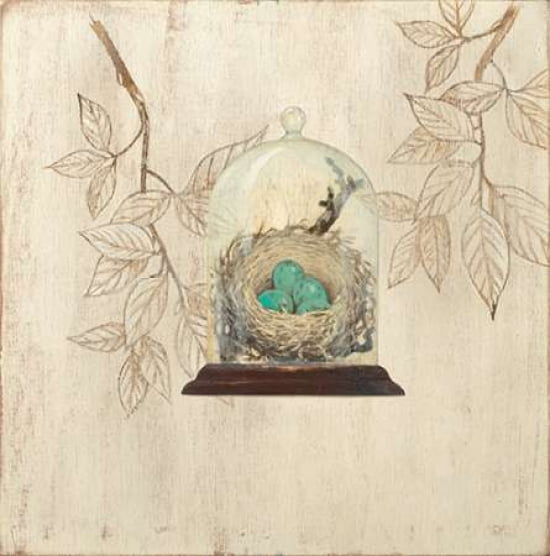 Aviary Museum Canvas Art - Arnie Fisk (24 x 24)