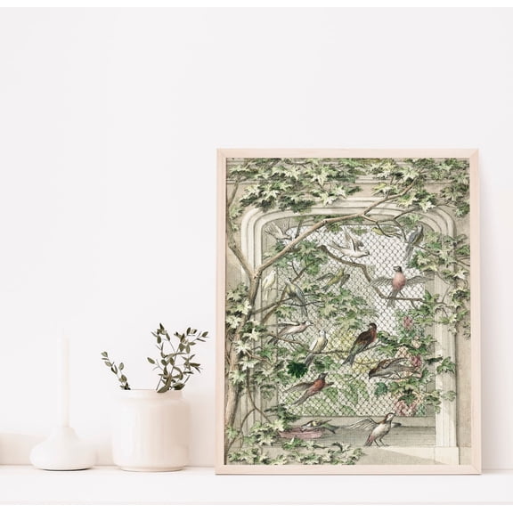 Aviary With Fourteen Birds Poster, Aert Schouman, Bird Poster, Antique Animal, Vintage Poster Wall Art Decor, Art Poster, Stretched Canvas Size 16x24