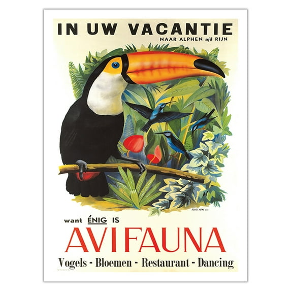 Avifauna Bird Park Western Netherlands - Alphen aan den Rijn South Holland - Vintage Travel Poster by Guust Hens c.1951 - Bamboo Fine Art 290gsm Paper Print (Unframed) 24x32in