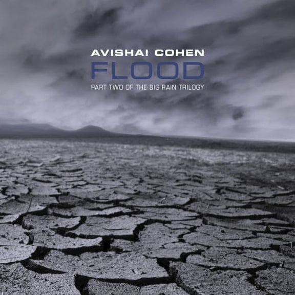 Avishai Cohen - Flood [CD]