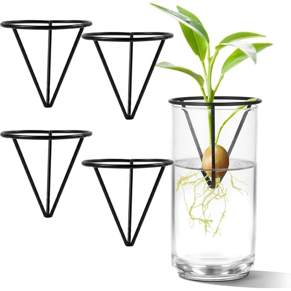 Avocado Growing Kit Avocado Vase for Growing Seed Starter with Plant Pot Wooden Base Metal Triangular Holder Easy Sprout Kit for Gardening Lovers Home Office Table Decoration,4pcs