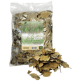 thumbnail image 1 of Avocado Leaves - 1 Pound-16 Ounce-Persea Americana/Hoja de Aguacate, 1 of 2