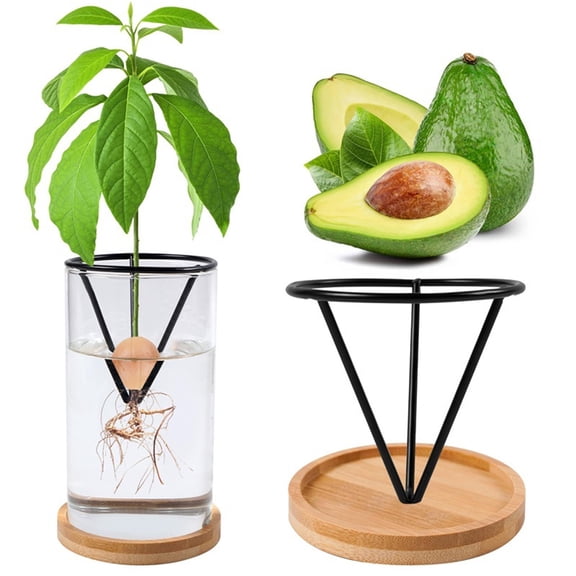Avocado Planter Avocado Seed Starter Vase Metal Triangular Sprouting Kit with Wooden Base Plant Pot for Easy Seed Germination Gardening Lovers Home Office Table Decoration,Black