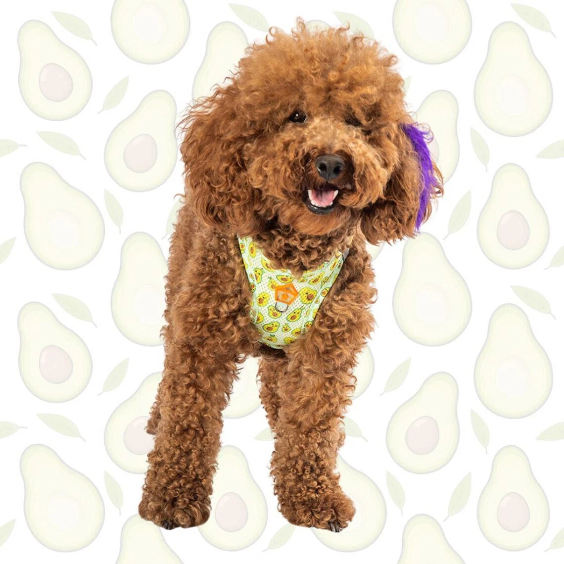 Avocado Print Dog Harness – Reflective, Comfy, Adjustable Pawstar Size 3Xs