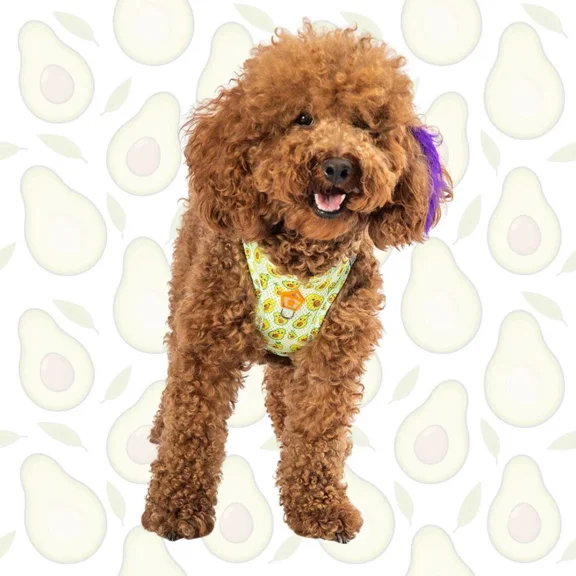 Avocado Print Dog Harness Reflective, Comfy, Adjustable Pawstar Size 3Xs