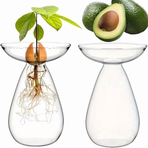Avocado Seed Starter Vase: 2Pcs Acorn Vase Propagation Station, Avocado Growing Indoor Propagators for Plants, Small Hydroponics Hyacinth Bulb Glass Plant Pot  P