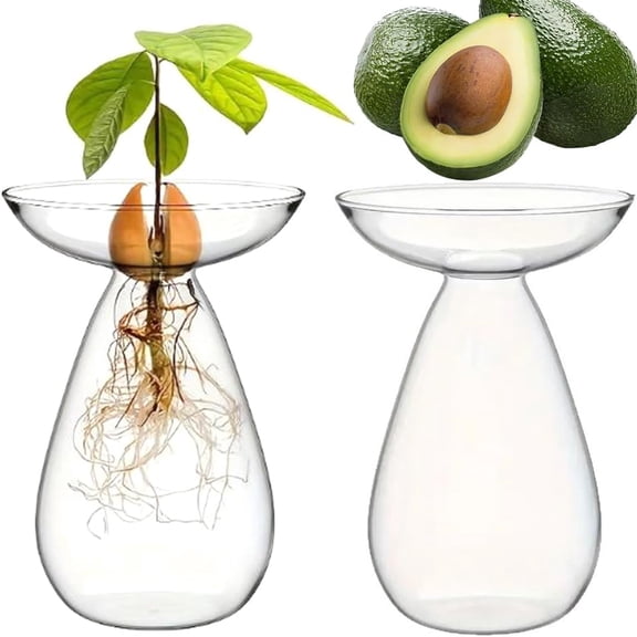 Avocado Seed Starter Vase –  Acorn Propagation Station for Indoor Plant Growth, Hydroponic Glass Pot for Avocado & Hyacinth Bulbs(RL 2 PCS)