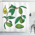 thumbnail image 1 of Avocado Shower Curtain, Hand-Drawn Tropical Nature Themed Exotic Fruits Hanging on Tree Branches Print, Fabric Bathroom Set with Hooks, 69W X 84L Inches Extra Long, Green and Brown, by Ambesonne, 1 of 3