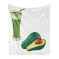 thumbnail image 1 of Avocado Soft Flannel Fleece Blanket, Vintage Style Healthy Fresh Avocado Juice for Diet and Slices of Fruit Illustration, Cozy Plush for Indoor and Outdoor Use, 50" x 60", Multicolor, by Ambesonne, 1 of 6