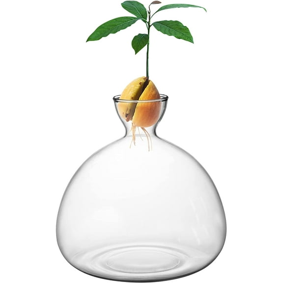 Avocado Tree Growing Kit,Avocado Seed Starter Vase,Glass Plant Pot with Avocado Stickers,Plant Indoor Grow Gardening Gifts