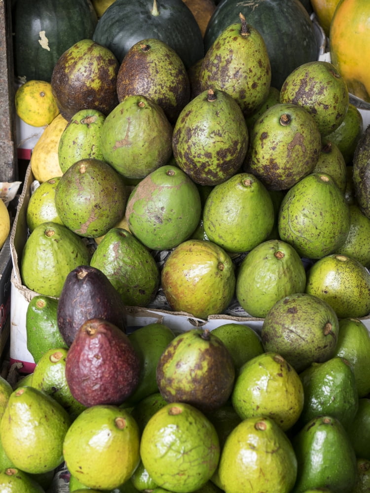 Avocados for sale in the Central Market Kandy Central Province Sri Lanka Canvas Art - Panoramic Images (12 x 16)