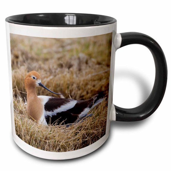 3drose, Avocet Sitting on Nest, 11oz Two-tone Black Mug