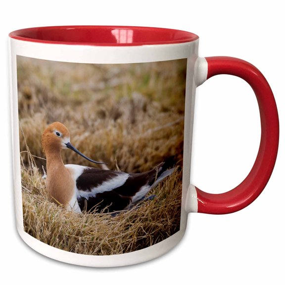 3drose, Avocet Sitting on Nest, 11oz Two-tone Red Mug