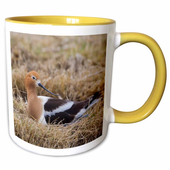 3drose, Avocet Sitting on Nest, 11oz Two-tone Yellow Mug