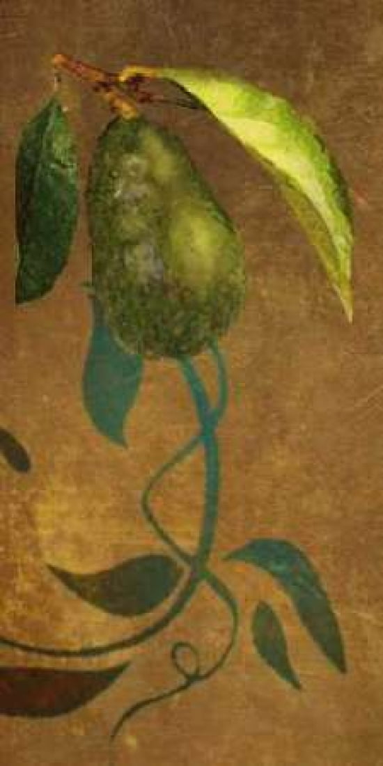 Avocodo I Canvas Art - Steve Butler (24 x 48)