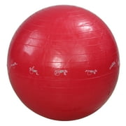 Avon 24 Red Exercise Gym Ball
