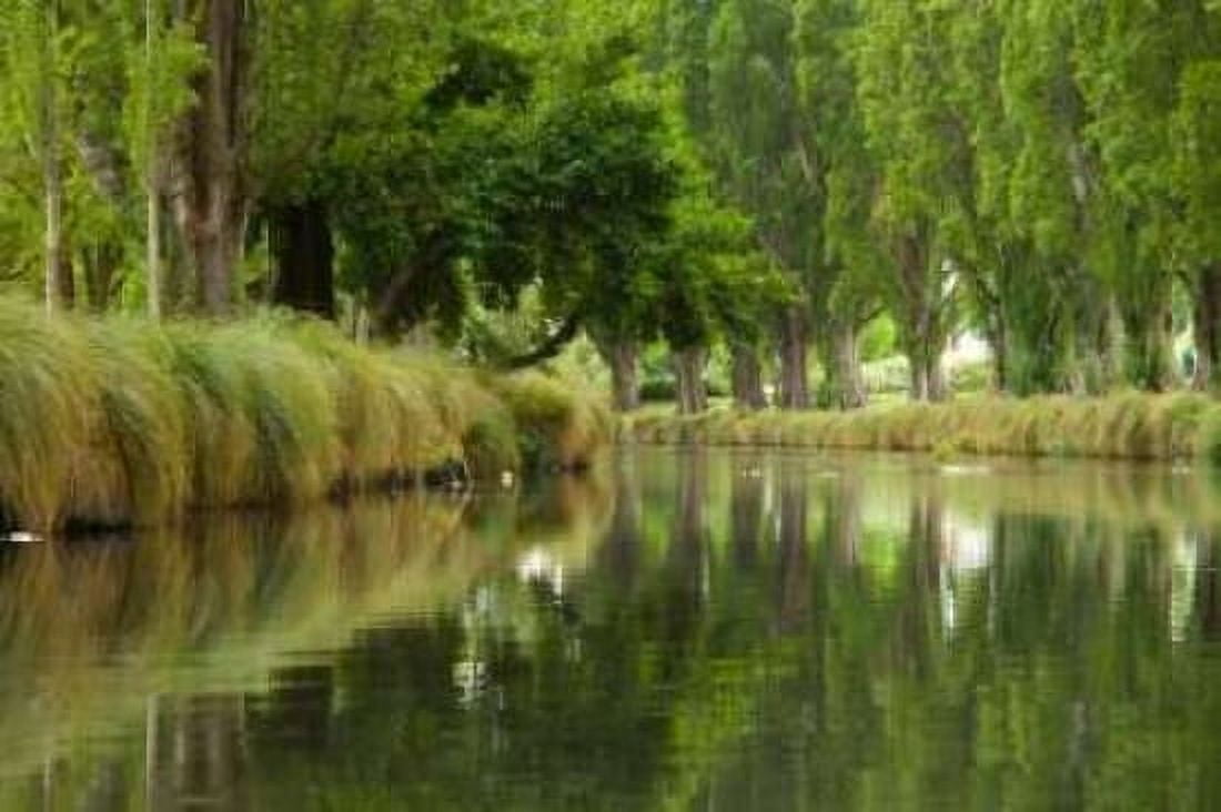 Avon River II Canvas Art - George Johnson (20 x 28)
