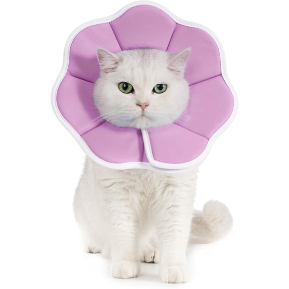 Avont Cat Cone XS Adjustable Soft E-Collar, Purple