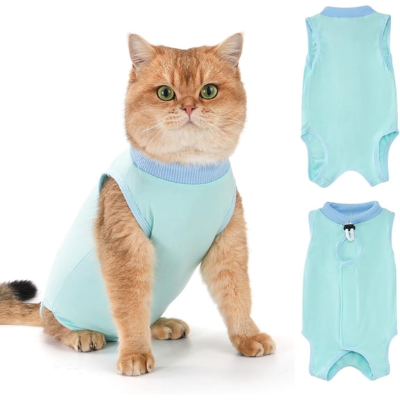 Avont Cat Recovery Suit for Surgery, Breathable Anti-Licking Onesie for Kittens, Surgical Post-Operative Protective Bodysuit, Comfortable Alternative to E-Collar -Mint (S)