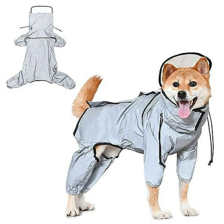 Puppy in raincoat cheap