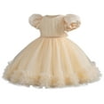 thumbnail image 1 of Avrntaa Baby Girls Tulle Princess Dress Satin Sleeve Tutu Party Dresses Toddler Girl Birthday Ball Gown, 1 of 5