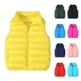 thumbnail image 1 of Avrntaa Kids Boys Girls Puffer Vest Toddler Solid Color Coat Winter Lightweight Sleeveless Zipper Up Jacket, 1 of 5