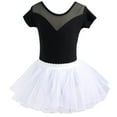 thumbnail image 1 of Avrntaa Little Girls Ballet Leotards Dance Dresses with Tutu Skirt Tutu Dress Summer Clothes for 2-16Y, 1 of 2