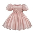 thumbnail image 1 of Avrntaa Toddler Girls Ball Gown Puff Short Sleeve Satin Ruffle Pageant Dress Floral Party Princess Dresses for 1-9Y, 1 of 8