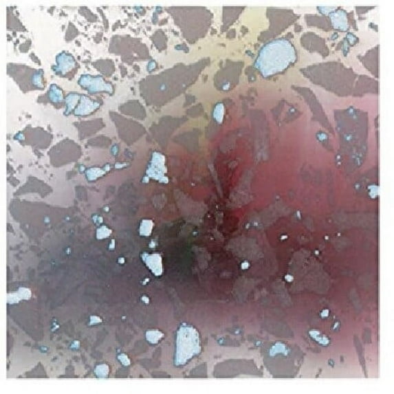 Avulsions - Expanding Program - Music & Performance - Vinyl