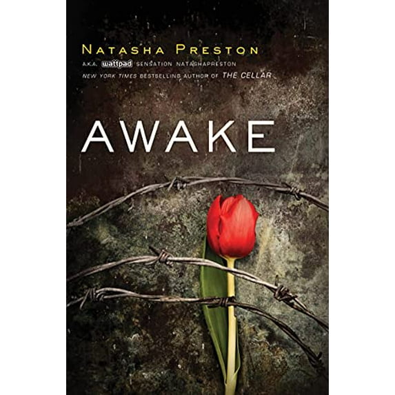 Pre-Owned Awake (Paperback) 1492618527 9781492618522