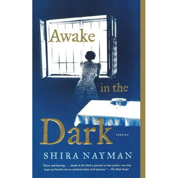 Awake in the Dark : Stories (Paperback)