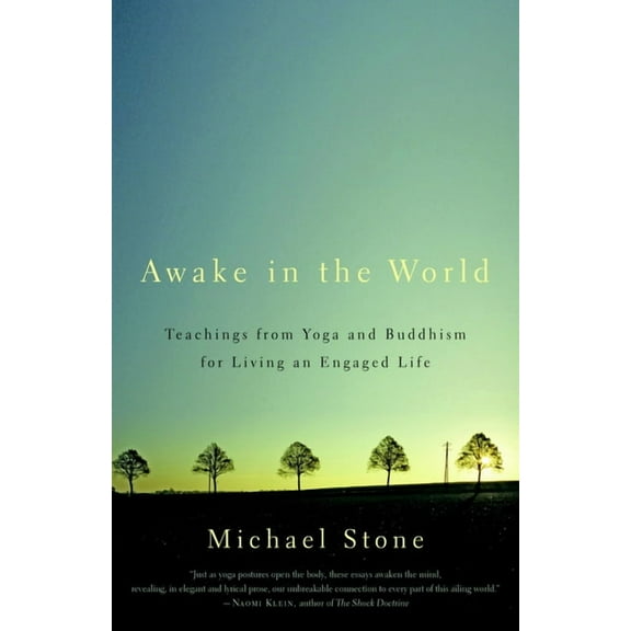Awake in the World : Teachings from Yoga and Buddhism for Living an Engaged Life (Paperback)