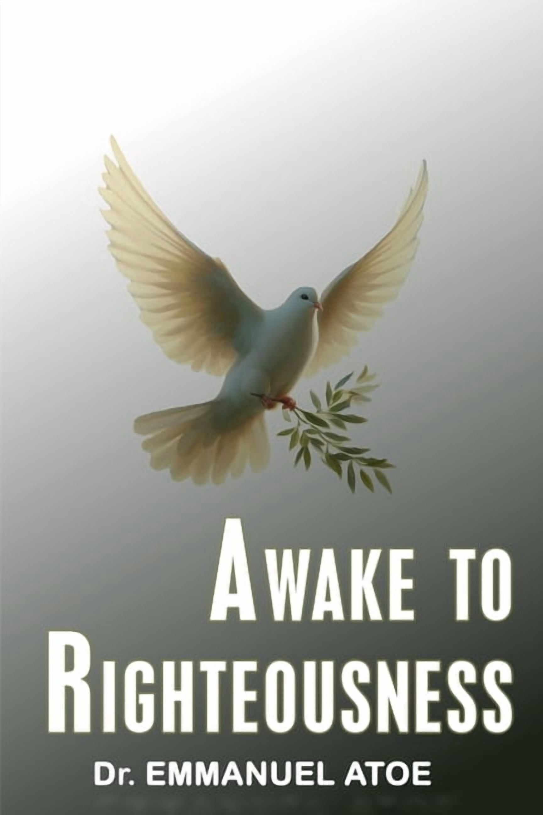 Awake to Righteousness, (Paperback)