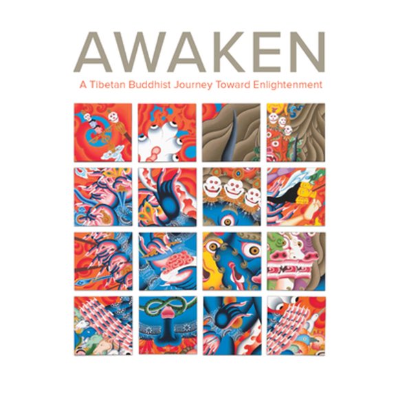 Pre-Owned Awaken: A Tibetan Buddhist Journey Toward Enlightenment (Hardcover) 0300244657 9780300244656